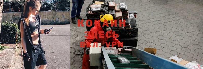 купить   Бирюч  Кокаин VHQ 